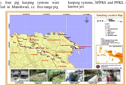 Figure 1. Study sites and samples of pig farming systems in Manokwari, Papua Barat Indonesia (Iyai, 2008) 