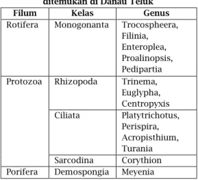 Tabel 1. Klasifikasi zooplankton yang  ditemukan di Danau Teluk 