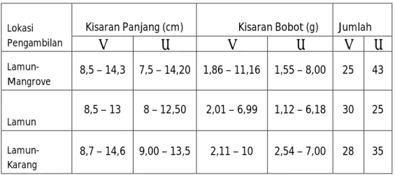 Tabel  3.Ukuran  panjang  dan  bobot  kuda  laut  yang  ditemukan  pada  beberapa  habitat