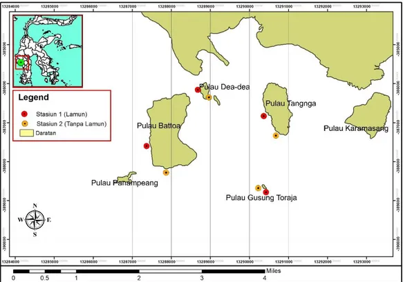 Gambar  1.  Peta  lokasi  pengambilan  sampel  Echinoidea  di  Kepulauan  Tonyaman,  Kecamatan  Binuang,  Kabupaten Polewali Mandar, Sulawesi Barat 