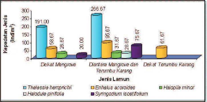 Gambar 9. Hasil Analisis Kepadatan Jenis Lamun Tiap Habitat