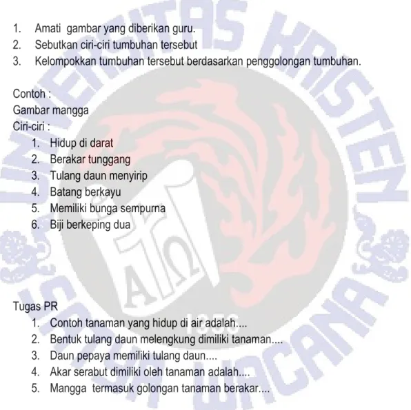 Gambar mangga  Ciri-ciri :  