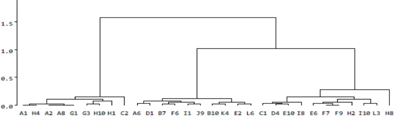 Gambar 3. Dendogram Hasil Cluster Analysis Sawo 
