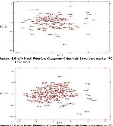 Gambar 1.Grafik Hasil  Principal Component Analysis Sawo berdasarkan PC 