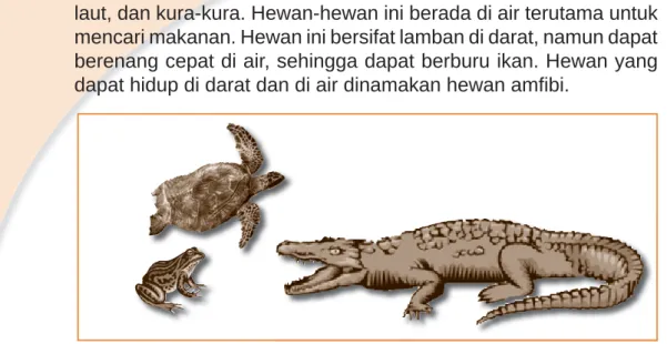 Gambar 2.3 Kelompok hewan yang hidup di air dan di darat (Amfibi).