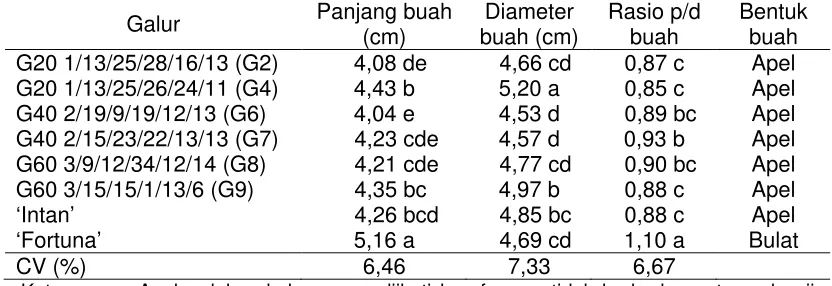 Tabel 3. Panjang buah, diameter buah, rasio panjang diameter dan bentuk buah 