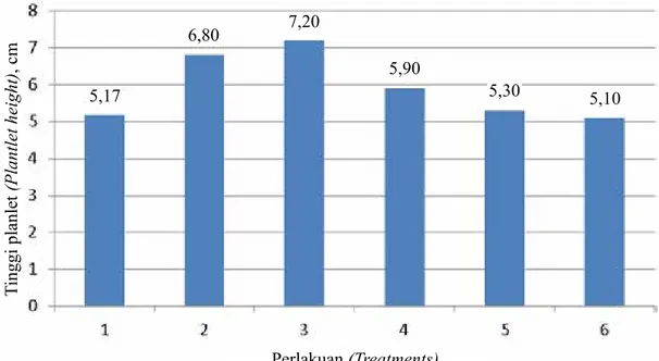 Gambar 1.   Pengaruh auksin dan sitokinin terhadap pertumbuhan tinggi planlet anggrek Mokara 