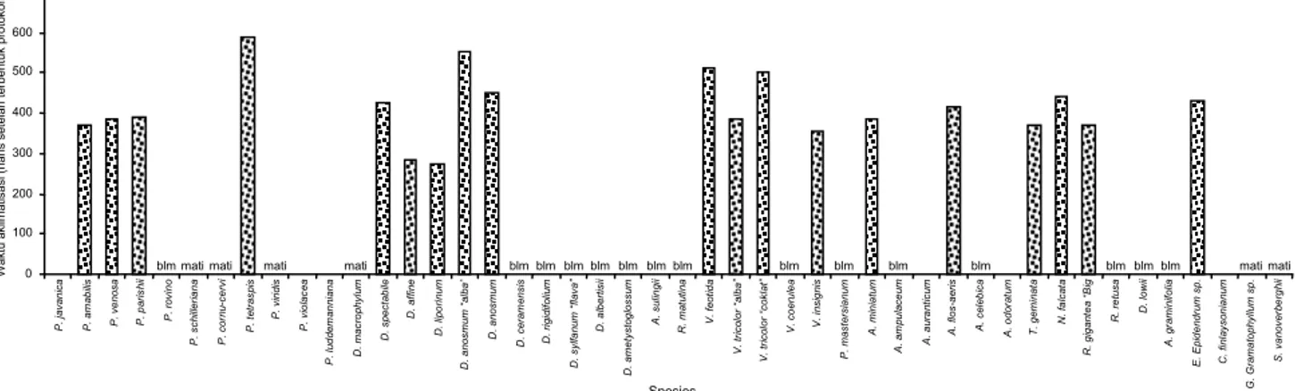 Tabel  1).  Bentuk  protokorm  anggrek  bervariasi  dengan  ukuran  berkisar  antara  1–3  mm  (Gambar  5)
