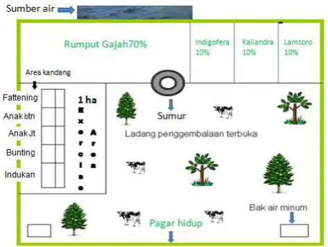 Gambar 1. Desain model padang penggembalaan sapi  