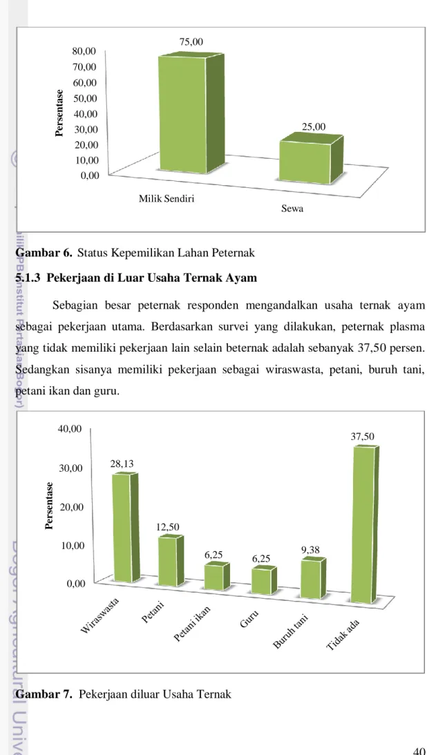 Gambar 7.  Pekerjaan diluar Usaha Ternak 