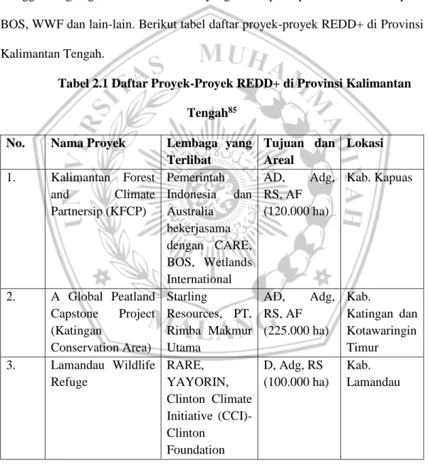 Tabel 2.1 Daftar Proyek-Proyek REDD+ di Provinsi Kalimantan  Tengah 85