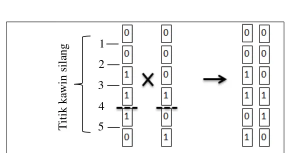 Gambar 3  Ilustrasi kawin silang dengan metode single point crossover 