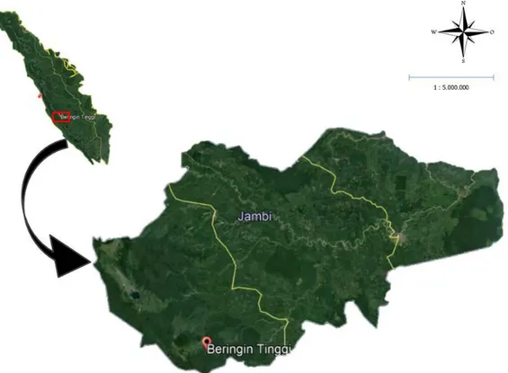 Gambar 1. Lokasi penelitian di Provinsi Jambi (Sumber: Image Landsat/Copernicus Google Earth 2018)