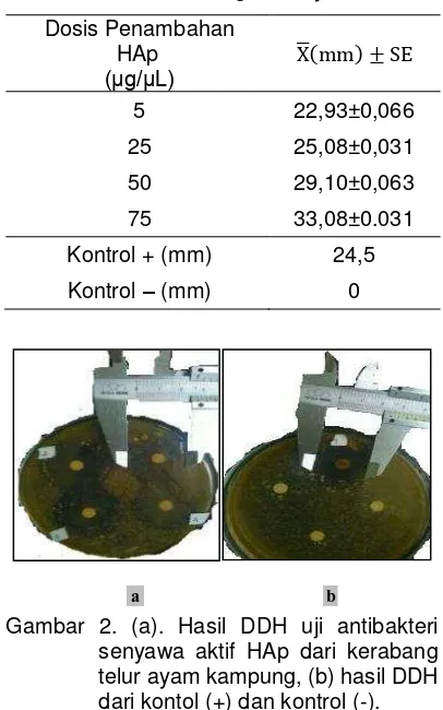 Tabel 2. Purata ± SE Diameter Daerah Hambat (DDH) uji antibakteri HAp dari kerabang telur ayam broiler
