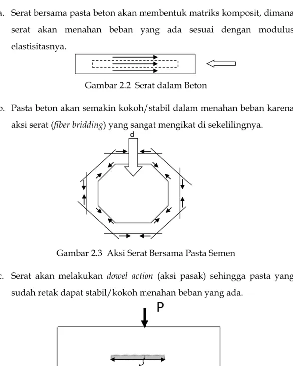 Gambar 2.2  Serat dalam Beton 