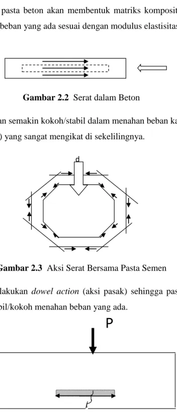 Gambar 2.2  Serat dalam Beton 