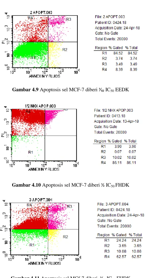 Gambar 4.9 Apoptosis sel MCF-7 diberi ⅟₁₀ IC 50  EEDK 