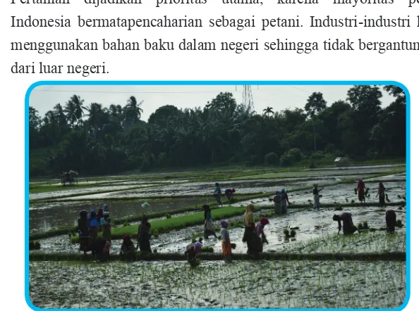Gambar 5.4 Pertanian merupakan potensi besar bangsa Indonesia dalam menghadapi ancaman 