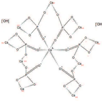 Gambar 1. Struktur Kimia HAp (Agrawal et al, 2011; Elkayar et al, 2009) 