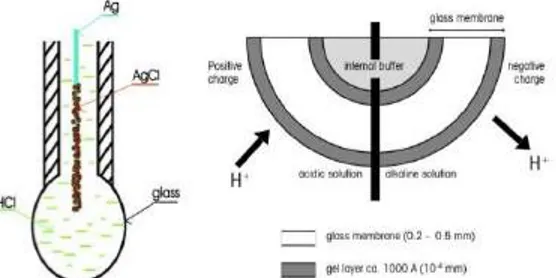 Gambar 1. Sensor pH: a) konstruksi, b) ilustrasi proses pengukuran pH  (Sumber: Vanysek, 2004, diakses pada 20 Juni 2017) 