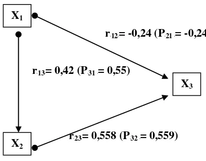 Gambar 2. Diagram Koefisien Korelasi dan Koefisien Jalur 