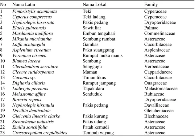 Tabel 2.  Jenis-jenis gulma yang tumbuh di perkebunan kelapa sawit  