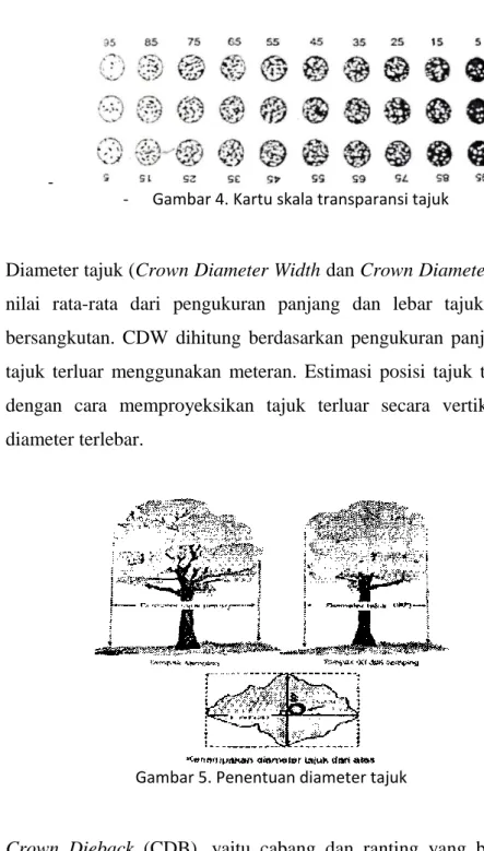 Gambar 5. Penentuan diameter tajuk 