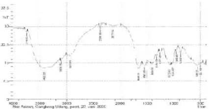 Gambar 1. Spektra infra merah cangkang udang  