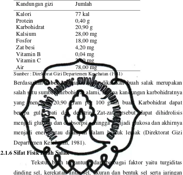 Tabel 2.5. Kandungan Gizi Buah Salak Per 100 gram Buah 