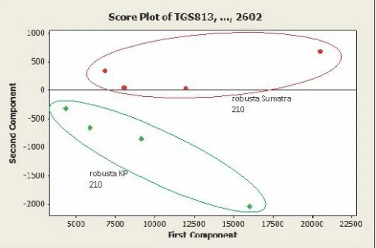 Gambar 4. Scoreplot PCA sampel kopi robusta Jawa (KP) dan Sumatra pada suhu  penyangraian (roasting) 210 °C dengan metode ekstraksi ciri gradien  3.3  Nilai Rerata 