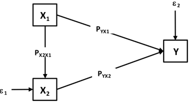Gambar 3.1  Model analisis jalur 