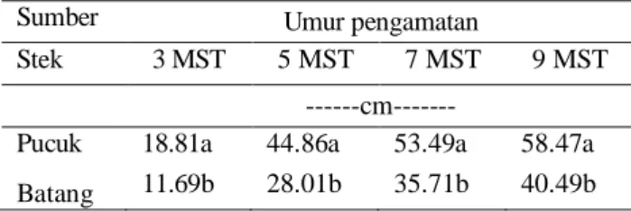 Tabel  2.  Pengaruh  sumber  stek  terhadap  peubah  panjang batang 