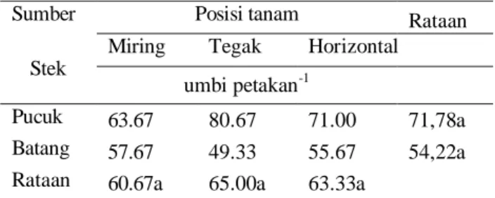 Tabel 6.  Pengaruh sumber stek dan posisi  penanaman terhadap jumlah umbi total 