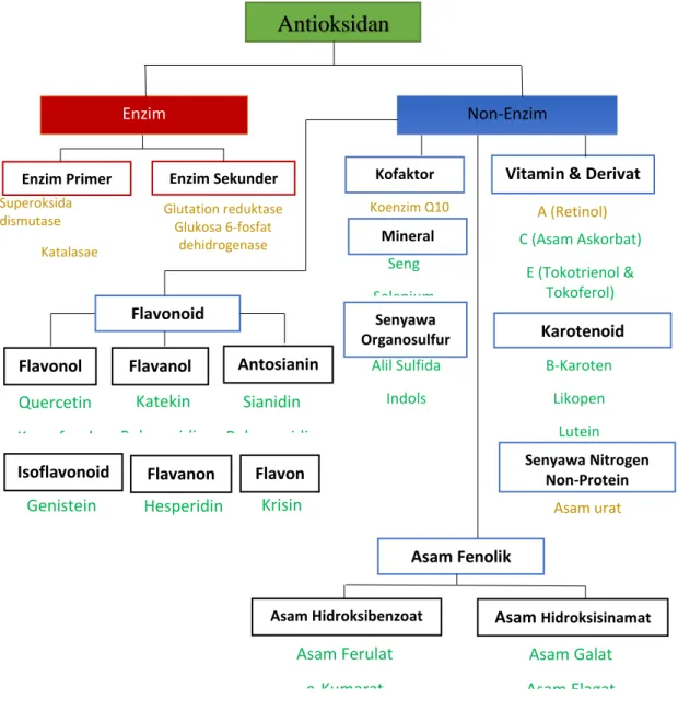 Gambar 5. Pembagian kelompok antioksidan .  50