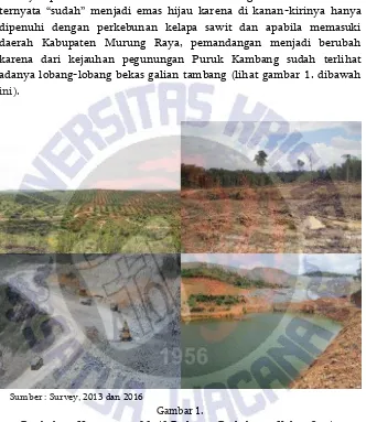 Gambar 1. Pembukaan Hutan secara Masif, Perluasan Perkebunan Kelapa Sawit, 