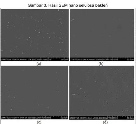 Gambar 5. Hasil tampilan visual bioplastik 