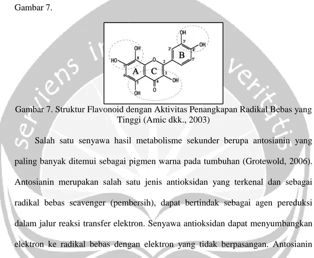 Gambar 7. Struktur Flavonoid dengan Aktivitas Penangkapan Radikal Bebas yang  Tinggi (Amic dkk., 2003) 
