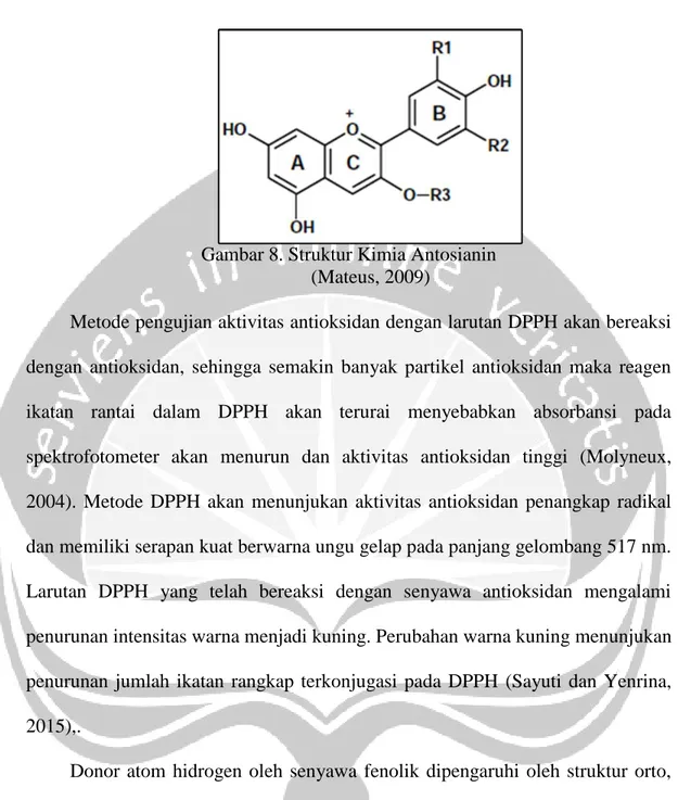 Gambar 8. Struktur Kimia Antosianin  (Mateus, 2009) 