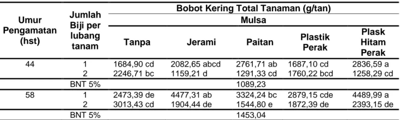 Tabel 1 Rerata Luas Daun Tanaman Jagung Manis pada Umur Pengamatan 44 dan 58 hst  Umur  Pengamatan  (hst)  Jumlah Biji per lubang  tanam 