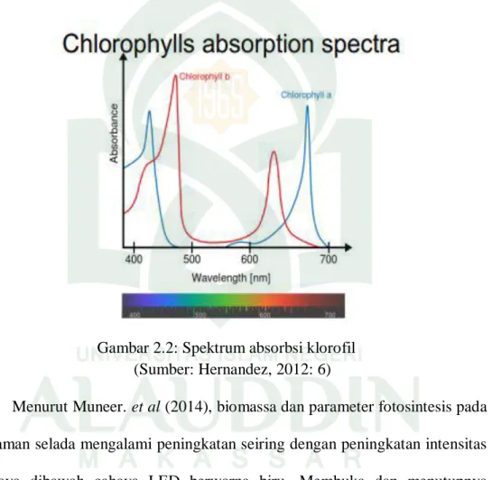 Gambar 2.2: Spektrum absorbsi klorofil   (Sumber: Hernandez, 2012: 6) 