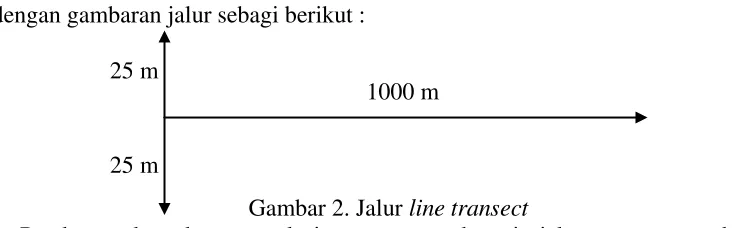 Gambar 2. Jalur line transect 