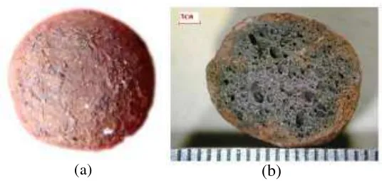 Gambar 2.5 Lightweight aggregate yang berasal dari (a) clay dan (b) semen. 