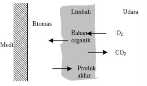 Gambar 1. Mekanisme penguraian substrat (Tjokrokusumo, 1999).