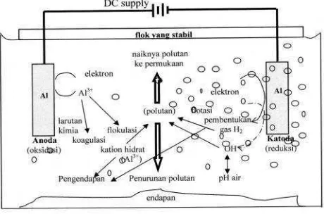 Gambar 3. Reaksi yang terjadi dalam reaktor elektrokoagulasi (Holt et al., 2002)