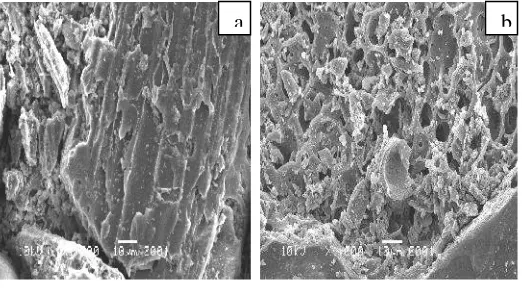 Gambar 10. a)  Mikrograf karbosil sebelum adsorpsi, b)Mikrograf karbosil  sesudah adsorpsimenggunakan air laut