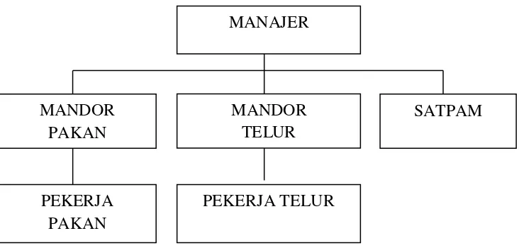 Gambar 2. Struktur Organisasi CV Jaya Bersama Poultry Farm 