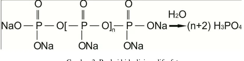 Gambar 3. Reaksi hidrolisis polifosfat 