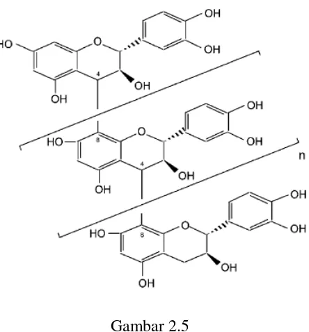 Gambar 2.5 Struktur Dasar Proanthocyanidins (Rohdewald, 2005) 