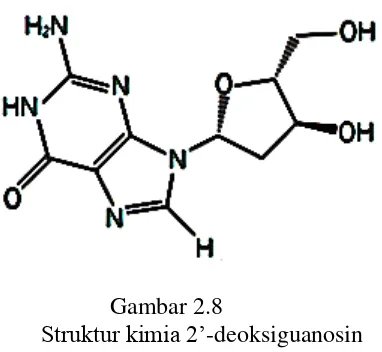 Gambar 2.7   Struktur 8-OHdG (Ogino and Wang, 2007)  