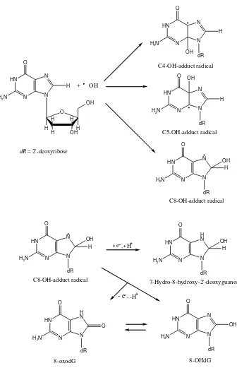 Mekanisme oksidasi 2’Gambar 2.9 -deoksiguanosin menjadi 8-OHdG oleh ROS (Valavanidis et 